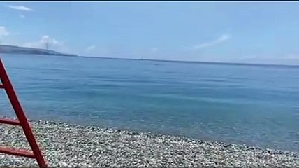 Download Video: Reggio Calabria: delfini giocano tra le onde del mare di Scilla