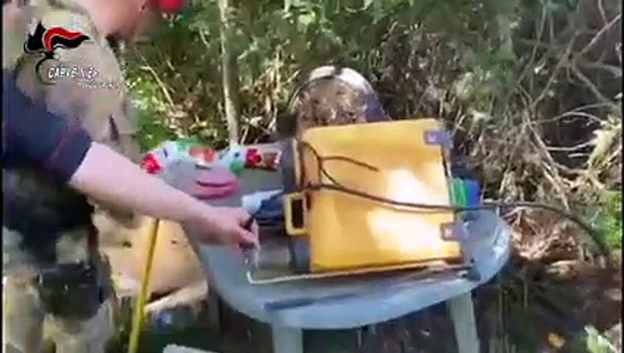 Reggio Calabria: scoperta dai Carabinieri piantagione di marijuana, in manette 5 "coltivatori"