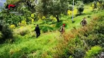 Reggio Calabria: i carabinieri rinvengono pericolosa sostanza in un terreno di CiminÃ 