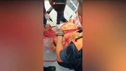 Reggio Calabria, le immagini della rete da posta illegale