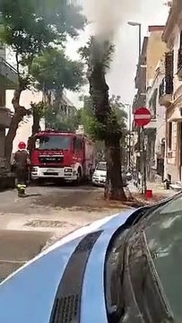 Reggio Calabria: le immagini dell'albero che ha preso fuoco in centro