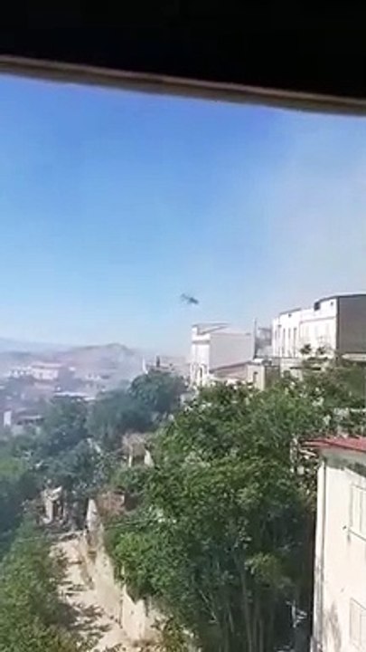Reggio Calabria, le immagini del grosso incendio a Motta San Giovanni