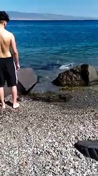 Messina, squalo spiaggiato a pochi metri dalla riva a Contesse