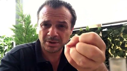 Messina, Cateno De Luca: "Centinaia di famiglie vivono nel terrore, i migranti fuggono attraverso le abitazioni private"