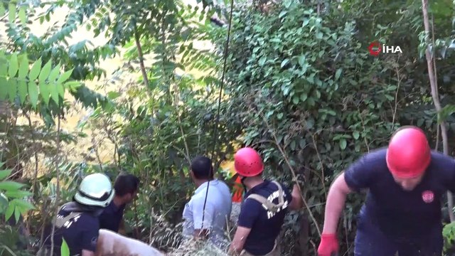 Üsküdar'da boğa kurtarma operasyonu