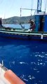 Le incredibili immagini dello squalo ripescato nei pressi dello Scoglio dell'Ulivo, a Palmi