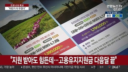 "다음달이면 지원 끝"…여행·항공·면세점 '고사 위기'
