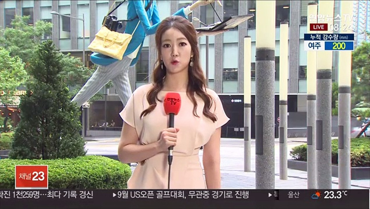 [날씨] 충청·남부 강한 호우…시간당 50㎜ 안팎