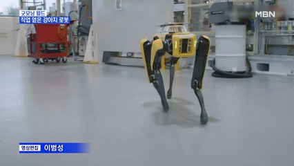 [굿모닝월드] 직업 얻은 강아지 로봇