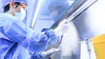 Neurologists Sound Alarm Over Dodgy Stem Cell Treatments