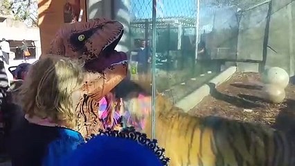 UNEXPECTED Animal ATTACKS! - AFVs Wildest Animal Moments