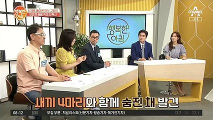 시체로 돌아온 만삭 고양이···잇따른 동물 학대 잔혹사