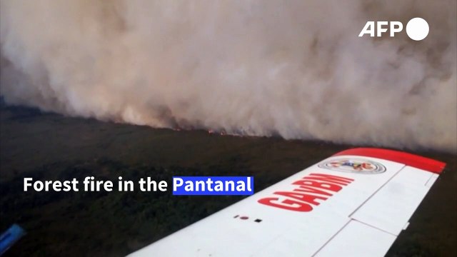 Forest fires in Brazil's Pantanal wetlands