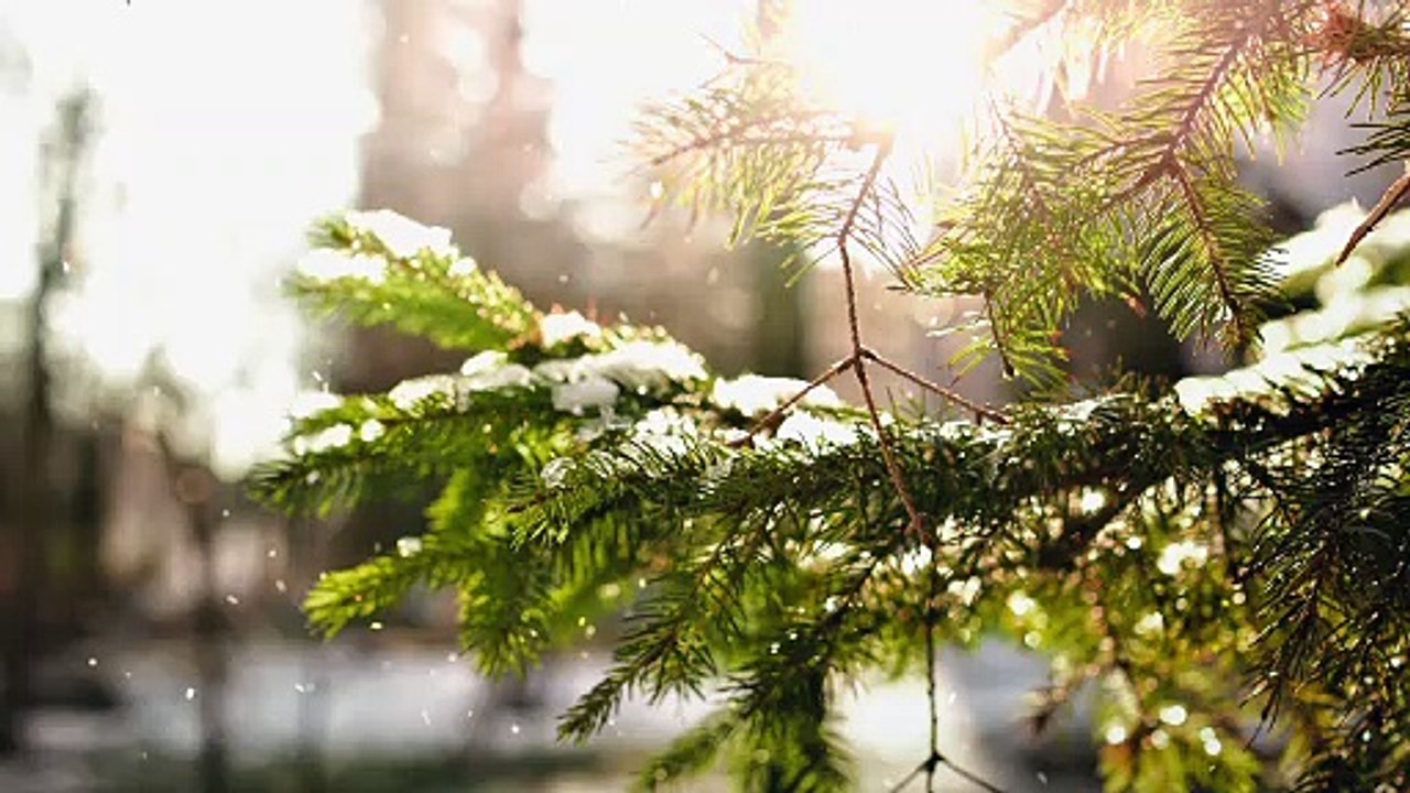 Winter Time 2020