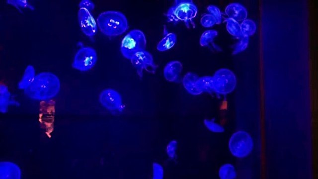 3 【睡眠リッチ】月に６億稼ぐ重政式新アフィリエイト不労収入システム（プラチナ会員） 特典 評判 購入 感想 お試し 動画 ブログ 評価 ネタバレ レビュー