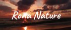 Nature Therapy - Relaxing Music - Beautiful Nature  - Ocean Beach