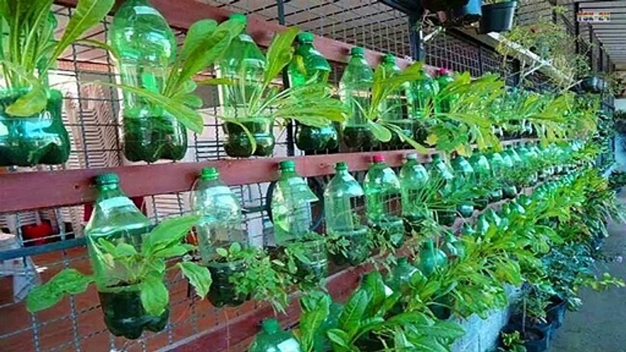 Best ideas! - Brilliant Ways To Reuse Plastic Bottles Garden