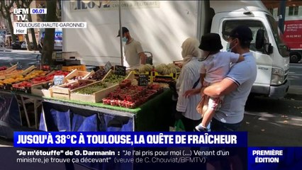 Un pic de chaleur frappe toute l'Hexagone, notamment à Toulouse où il a fait jusqu'à 37°C mercredi