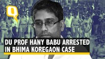 'There's a Pattern': DU Prof Hany Babu's Wife on His Arrest in Bhima Koregaon Case