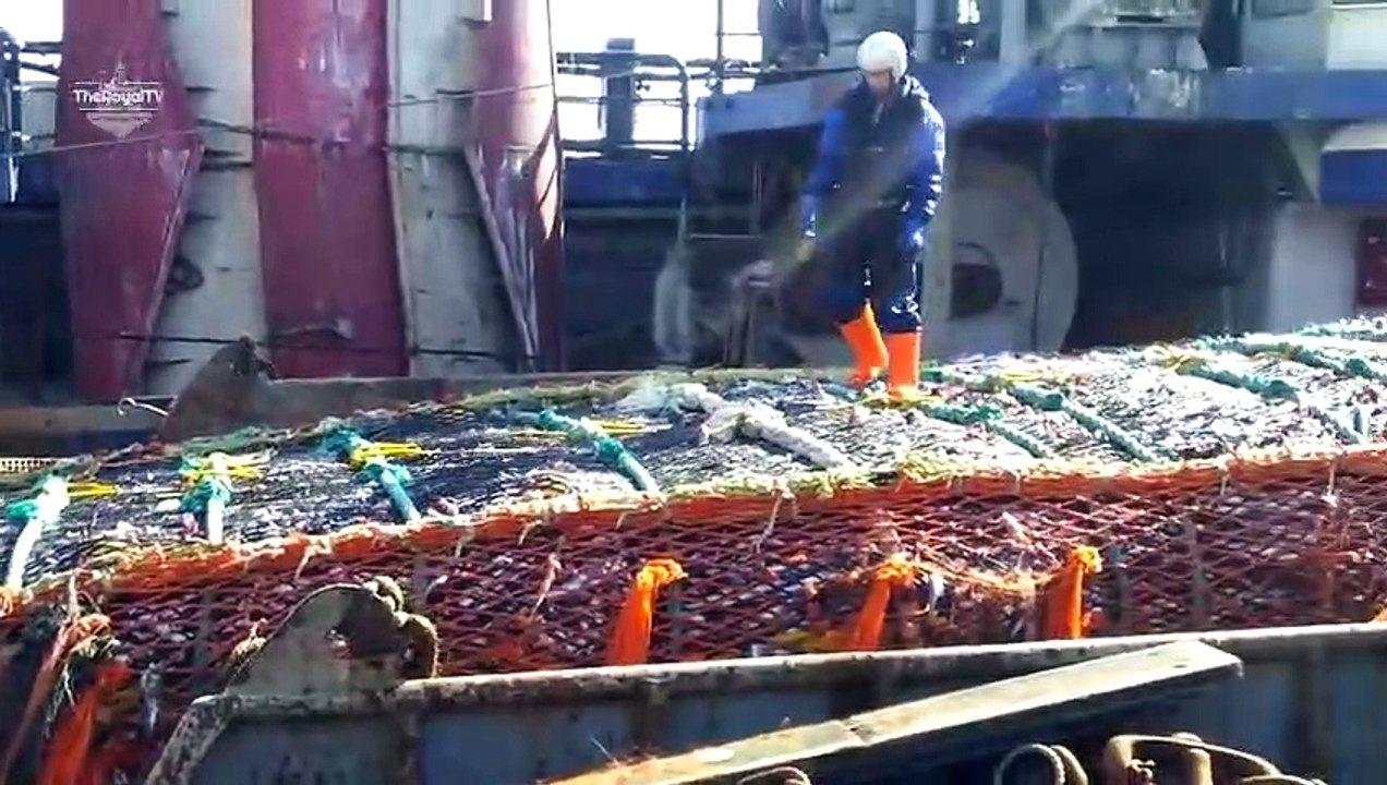 The_Most_Advance_Net_Fishing_On_Deep_Sea__Big_Catch_in_the_Sea(480p)