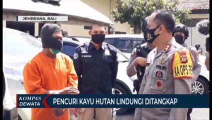Pencuri kayu Hutan Ditangkap
