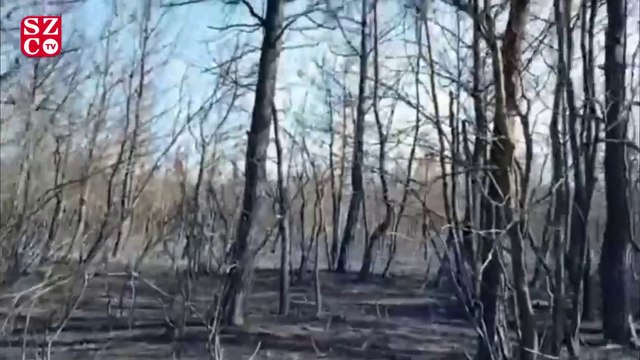 Gelibolu Yarımadası'ndaki yangınların tahribatı objektiflere böyle yansıdı