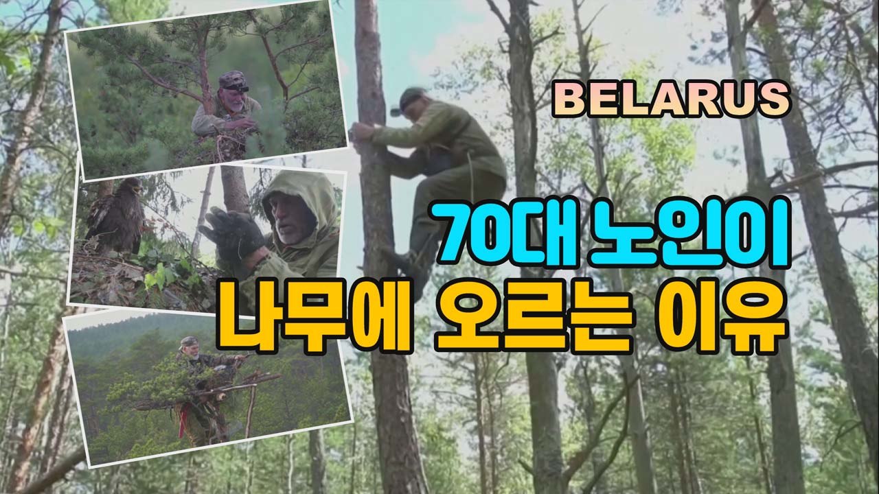 [세상만사] 새둥지 짓다 '인간 매'가 된 70대 조류학자 / YTN