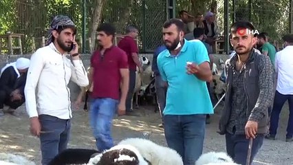 Kurbanlık pazarında sosyal mesafe unutuldu, 'korona virüs' pazarlığı yapıldı