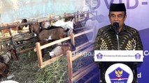 Menag Imbau Warga Bagikan Daging Kurban ke Fakir Miskin Sebanyak Mungkin di Tengah Pandemi Corona