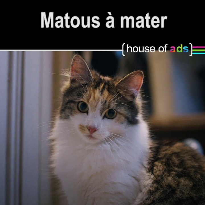 House Of Ads 4 - Chat va pas la tête ??