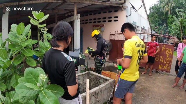 GoPro footage shows rescuers abseiling down abandoned well to save stray cat