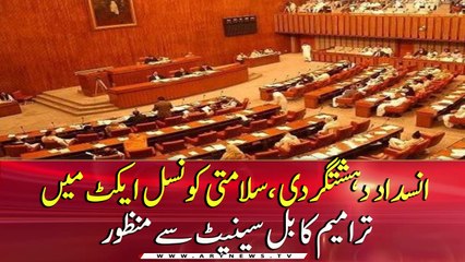 Senate passes Anti-Terrorism Act (Amendment) Bill, 2020