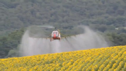 Agriculture Helicopter Spaying || किसान हेलीकॉपटर स्प्रेयर से करेंगे स्प्रे
