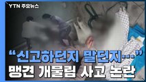 [퀵터뷰] '로트와일러' 사고 목격자 