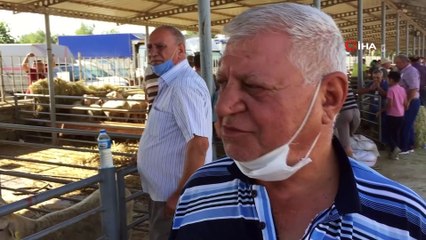 Eski günlerini arayan kurban pazarında umutlar devam ediyor