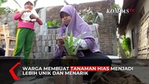 Mengenal Teknik Kokedama, Media Tanam Gunakan Lumut