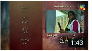 Mohabbat Tujhe Alvida Episode 8 Promo | Mohabbat Tujhe Alvida Episode 8 Teaser