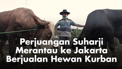 Perjuangan Suharji, Merantau ke Jakarta untuk Berjualan Hewan Kurban