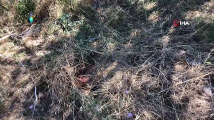 Büyükçekmece'de dehşet... Ayrılmak isteyen karısını ağaçlık alanda tabancayla vurarak öldürdü
