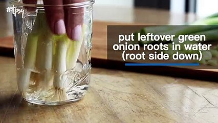 Here's How to Regrow Green Onions in Nothing But Water