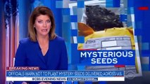 Officials warn not to plant mystery seeds delivered across U.S.