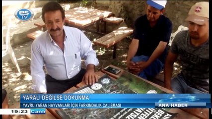 Yavru yaban hayvanları için farkındalık çalışması