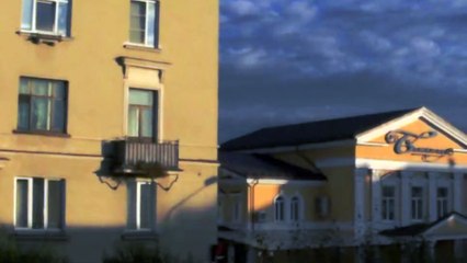 The wildlife of Zheleznogorsk. Kite (bird), Milvinae. Is it a black kite (Milvus migrans) ?