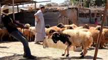 'Not like other years': Coronavirus dampens Eid al-Adha in Libya