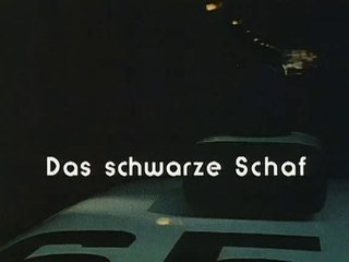 Großstadtrevier - 029. Das Schwarze Schaf
