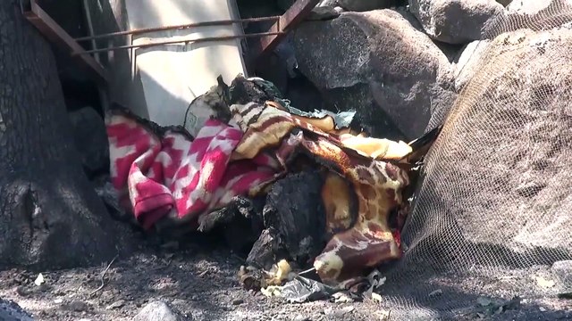 Evi yanan yaşlı çift destek bekliyor - ŞANLIURFA