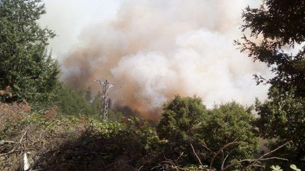 Çanakkale’de orman yangını