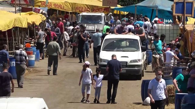 Arefe günü kurban pazarlarında hareketlilik yaşanıyor