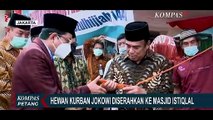 Tak Gelar Sholat Idul Adha, Masjid Istiqlal Tetap Adakan Pemotongan Hewan Kurban