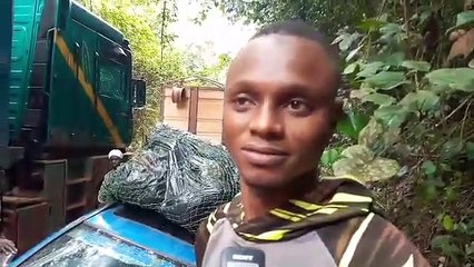 L'enfer des transporteurs routiers à Diécké